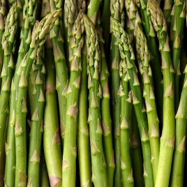 JOURNEE ASPERGES