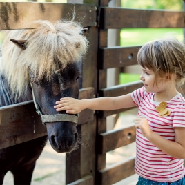 JOURNEE EQUESTRE 2025