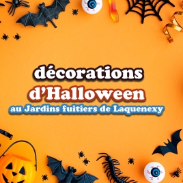 DECORATION D'HALLOWEEN 9/12 ANS