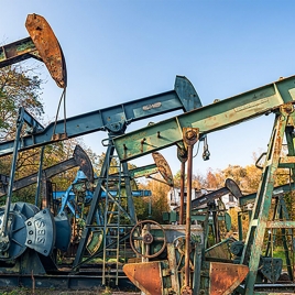 MERCKWILLER DRACHENBRON